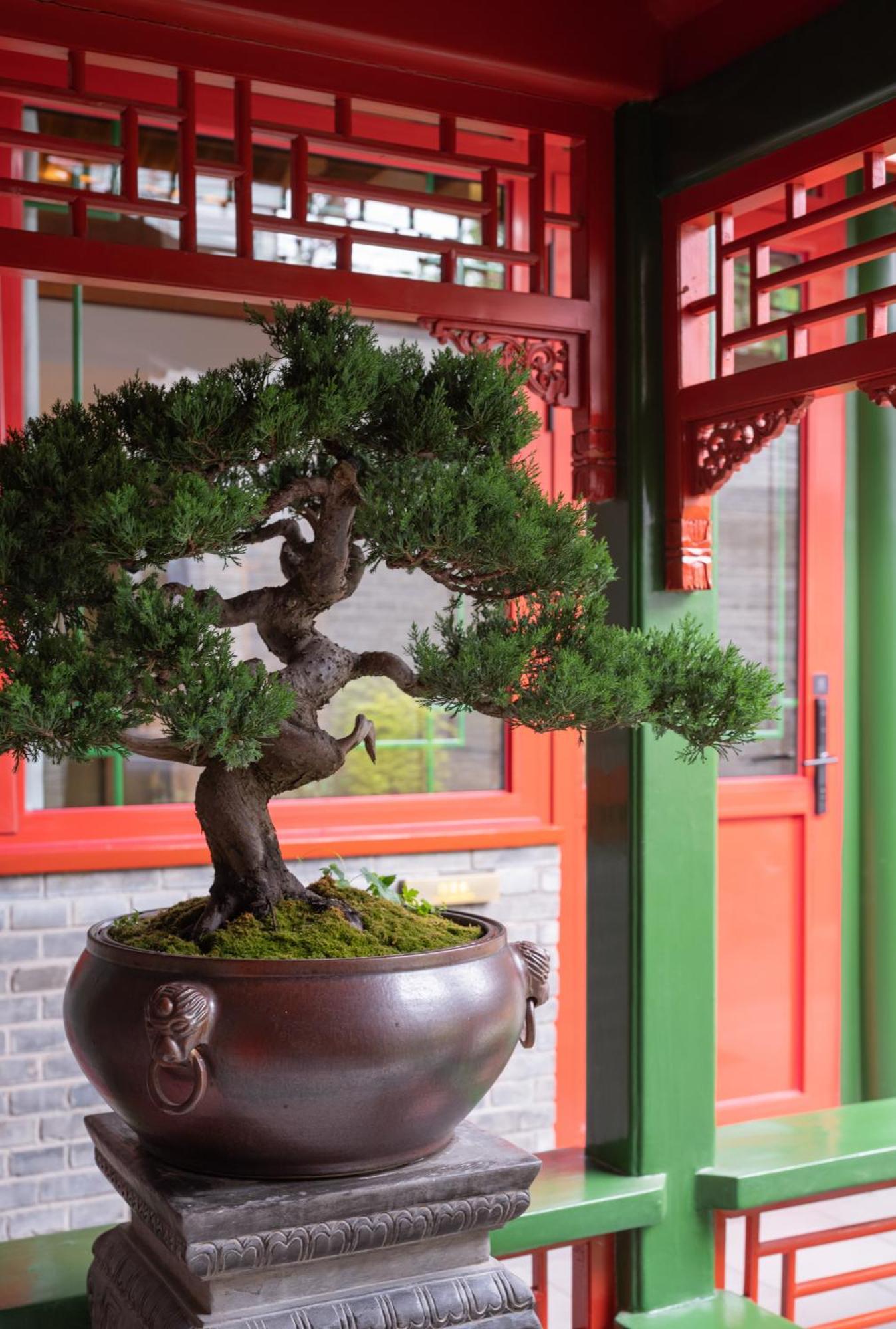 Xinxiang Yayuan: Beijing Courtyard with Sky Garden near Tiananmen Hotel Exterior photo